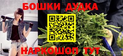 гидра Моздок